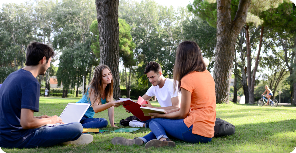 Image of students studying outside